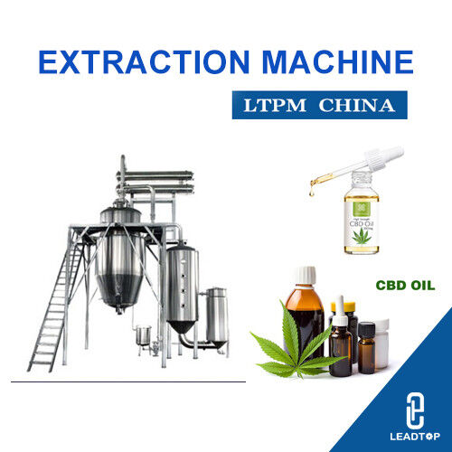 Ultime notizie aziendali su Il Lesotho approfitta l'asta medicinale della cannabis mentre la ditta britannica apre la fabbrica di CBD