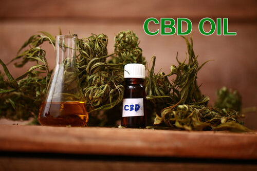 Ultime notizie aziendali su Una previsione informativa nel mercato legale del CBD della Cina