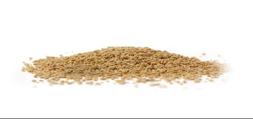 Ultime notizie aziendali su Processo di granulazione nella fabbricazione farmaceutica