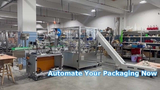 Astucciatrice rotativa verticale ZH100